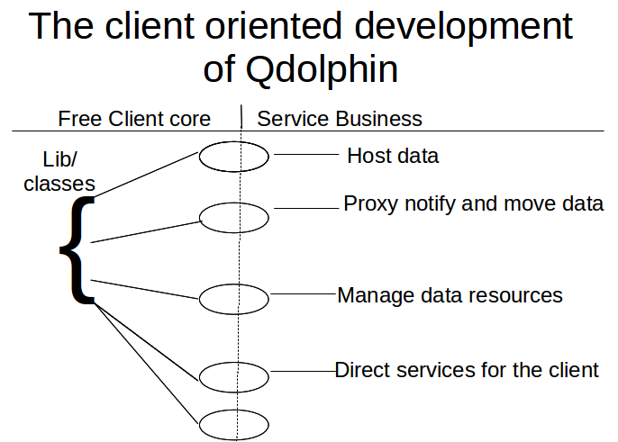 development of the Qdolphin